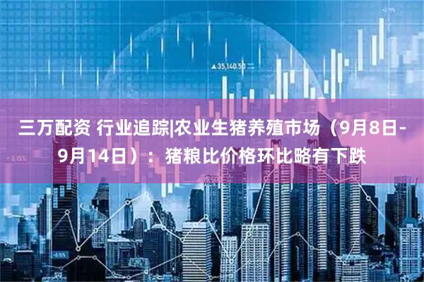 三万配资 行业追踪|农业生猪养殖市场(9月8日-9月14日):猪粮比价格环比略有下跌