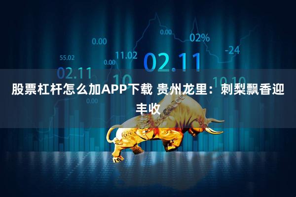 股票杠杆怎么加APP下载 贵州龙里：刺梨飘香迎丰收